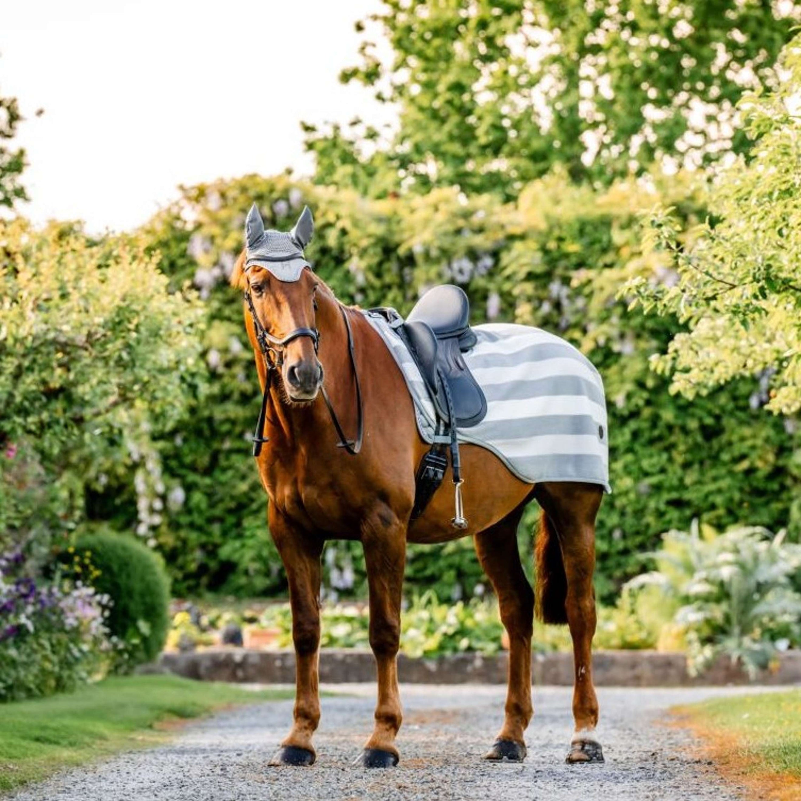 Horseware Ausreitdecke Newmarket Witney Charcoal