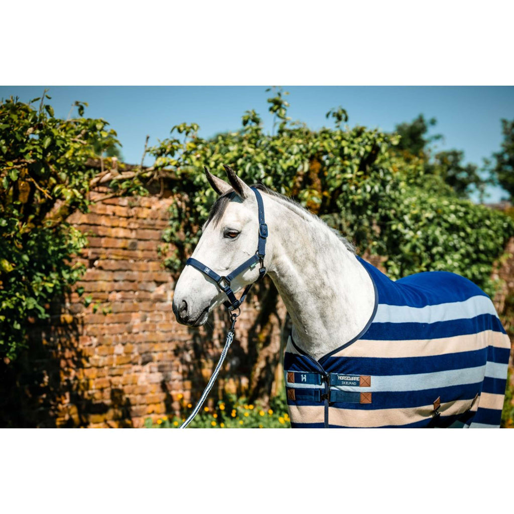 Amigo Halfter & Strick Newmarket Witney Navy