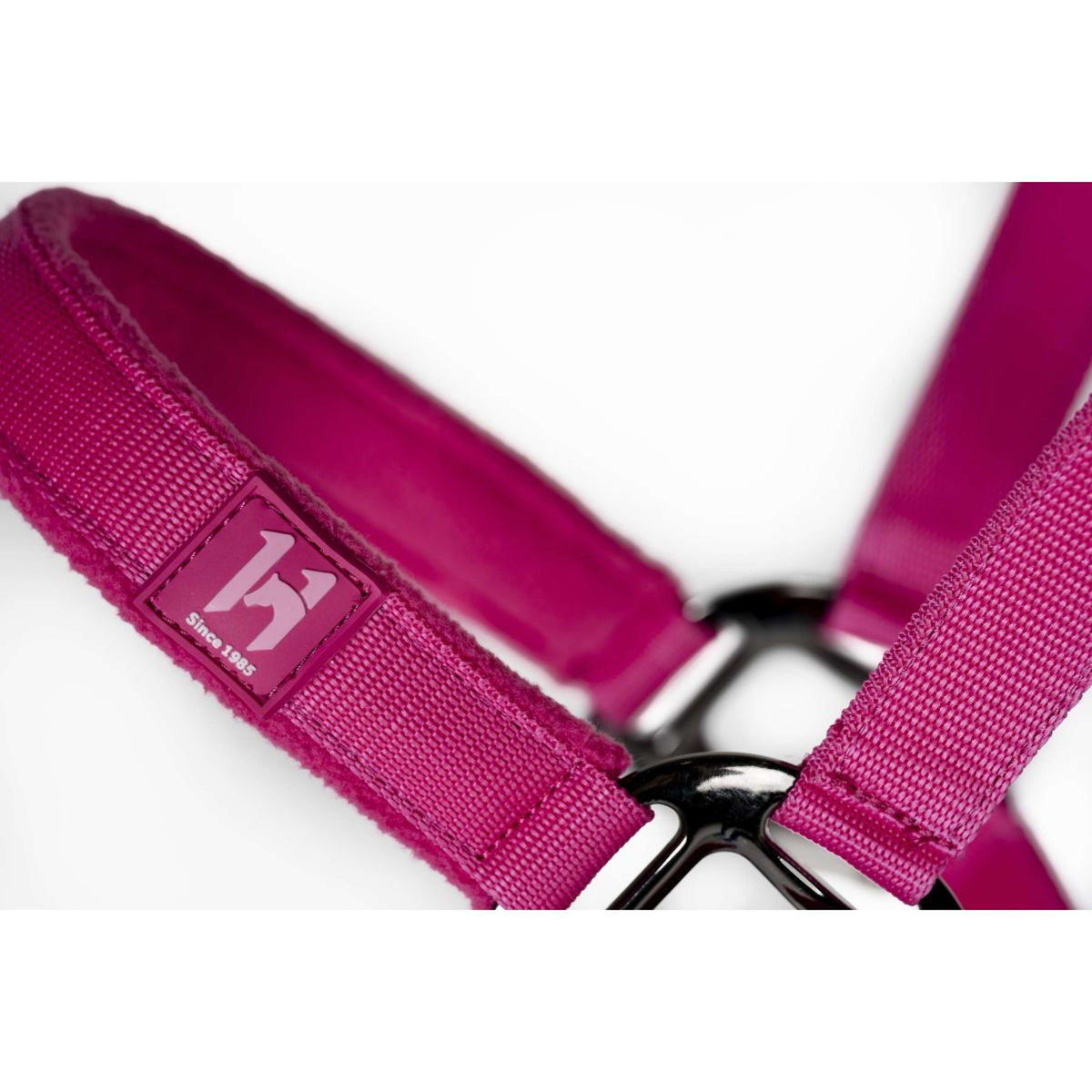 Amigo Halfter & Strick Newmarket Witney Pink