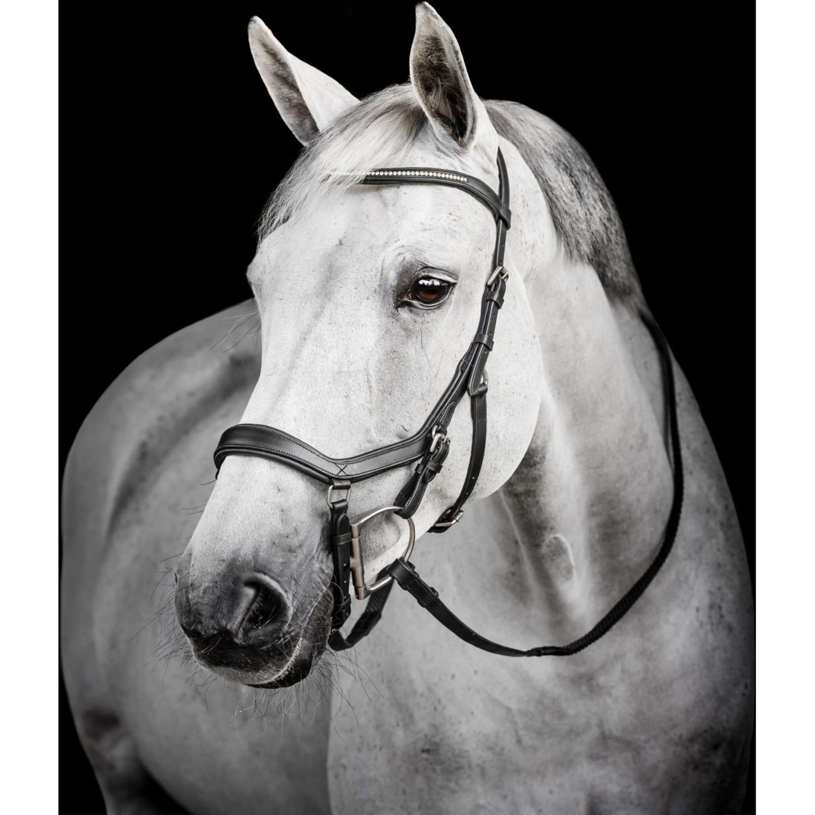 Horseware Micklem Diamante Competition Bridle Schwarz