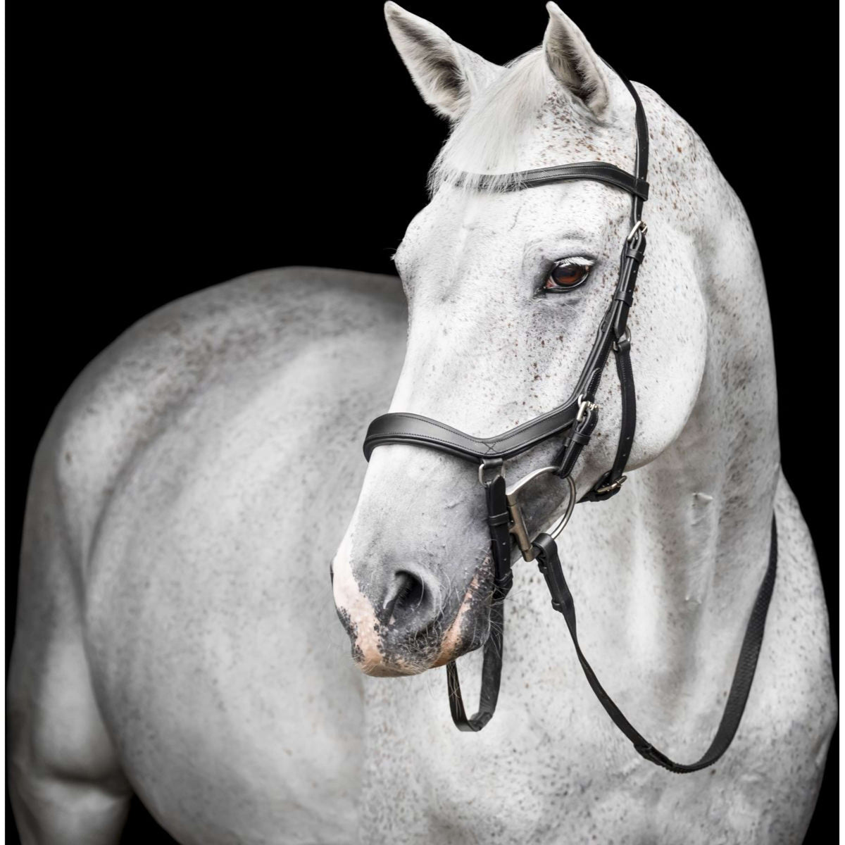 Horseware Micklem Competition Bridle Schwarz