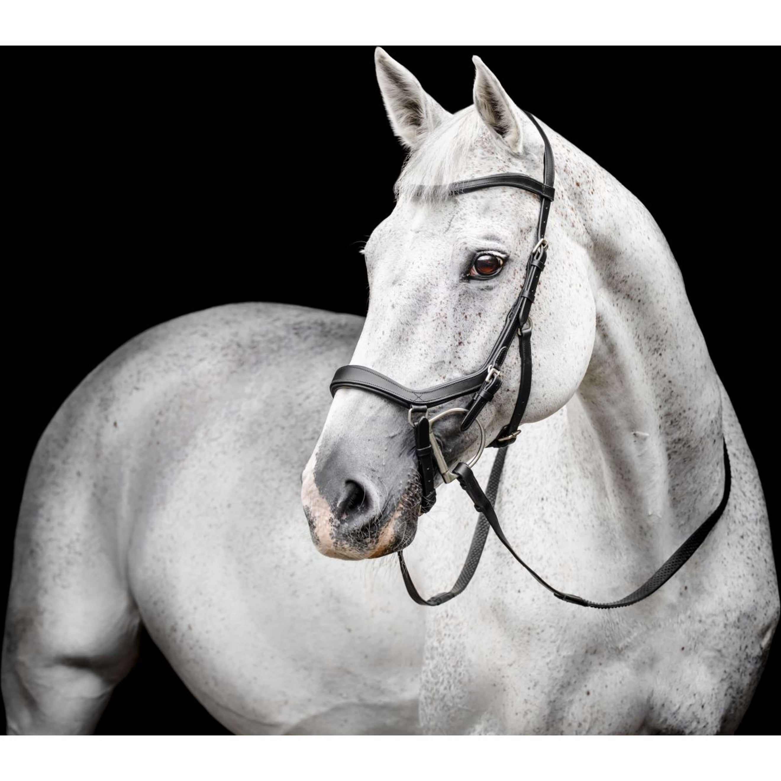 Horseware Micklem Competition Bridle Schwarz