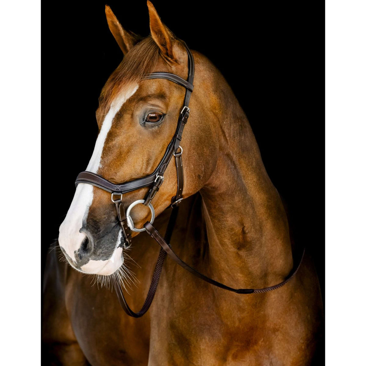 Horseware Micklem Competition Bridle Dark Havana