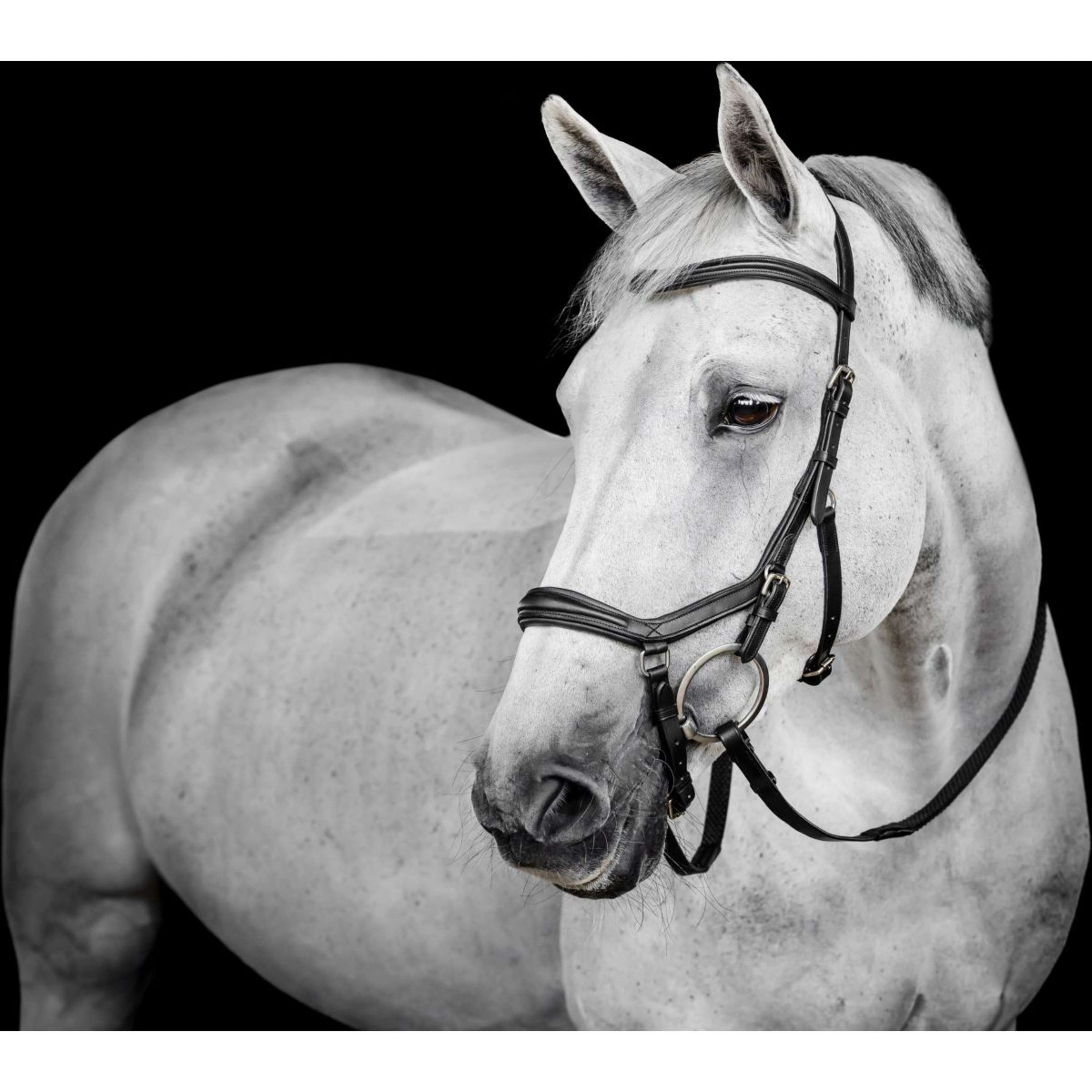 Horseware Micklem Deluxe Competition Bridle Schwarz Horseware Micklem Deluxe Competition Bridle Schwarz