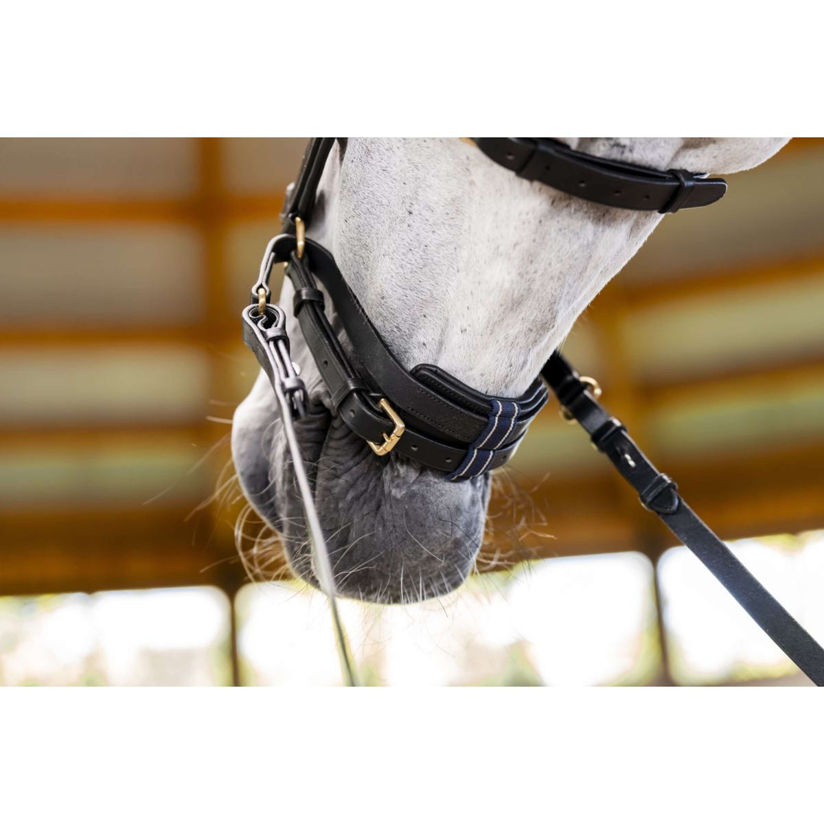 Horseware Micklem Multi Bridle Schwarz