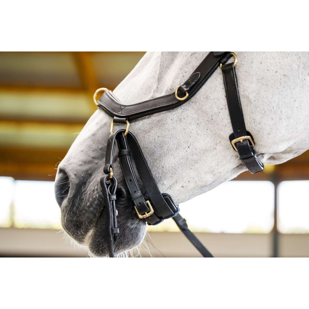 Horseware Micklem Multi Bridle Schwarz