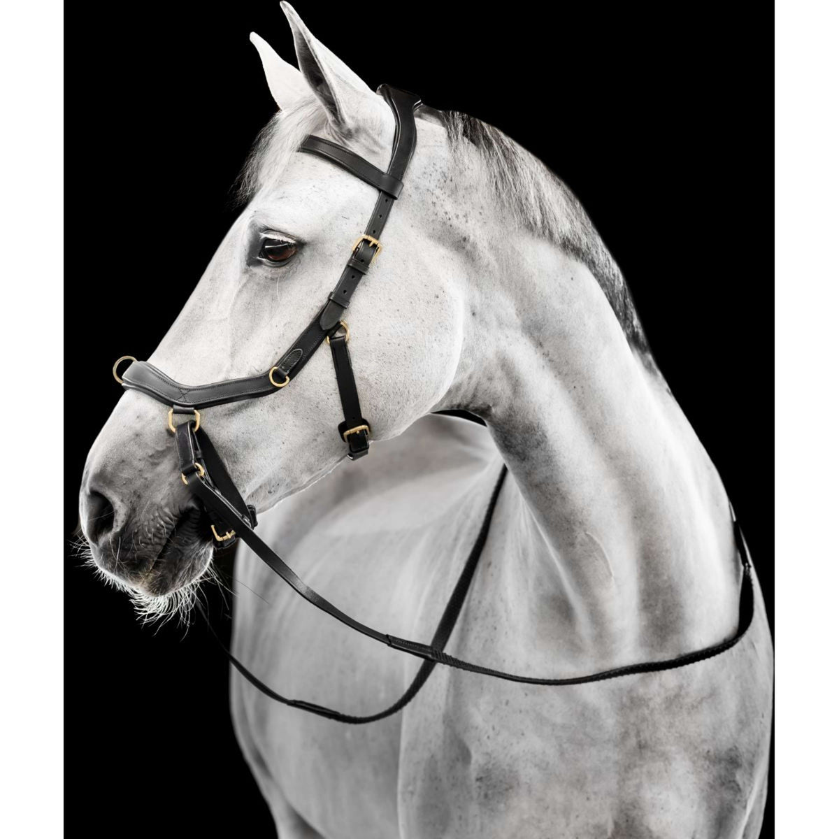 Horseware Micklem Multi Bridle Schwarz