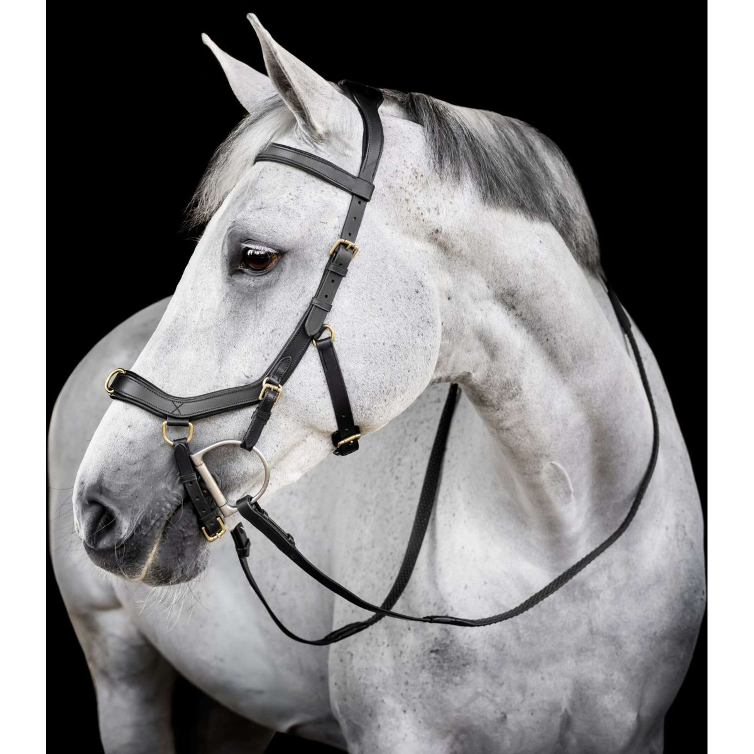 Horseware Micklem Multi Bridle Schwarz Horseware Micklem Multi Bridle Schwarz