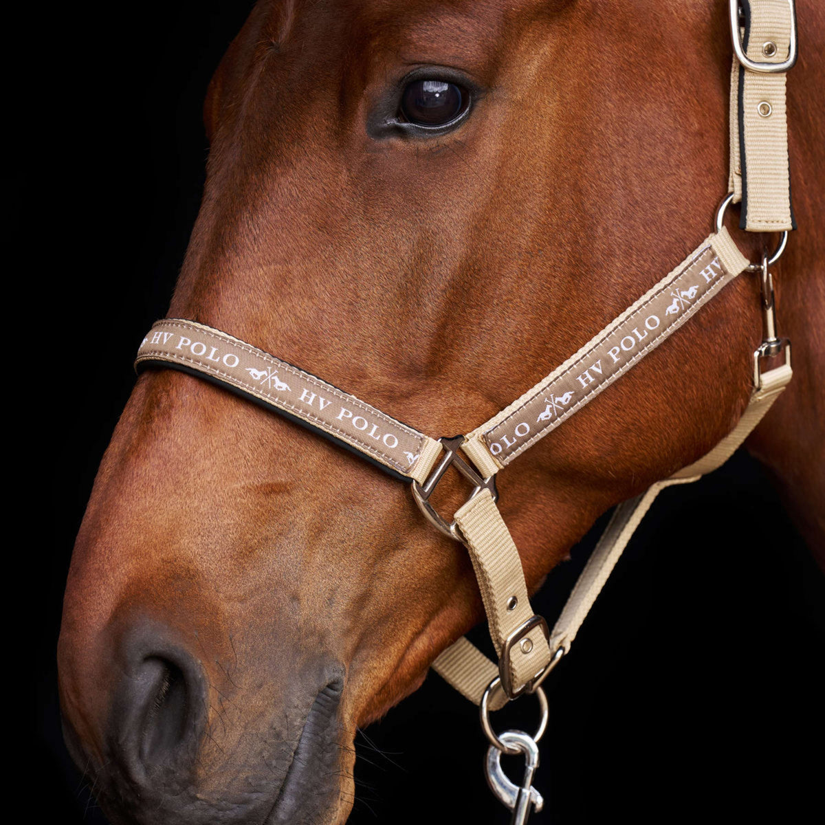 HV Polo Halfter HVPNena Tan