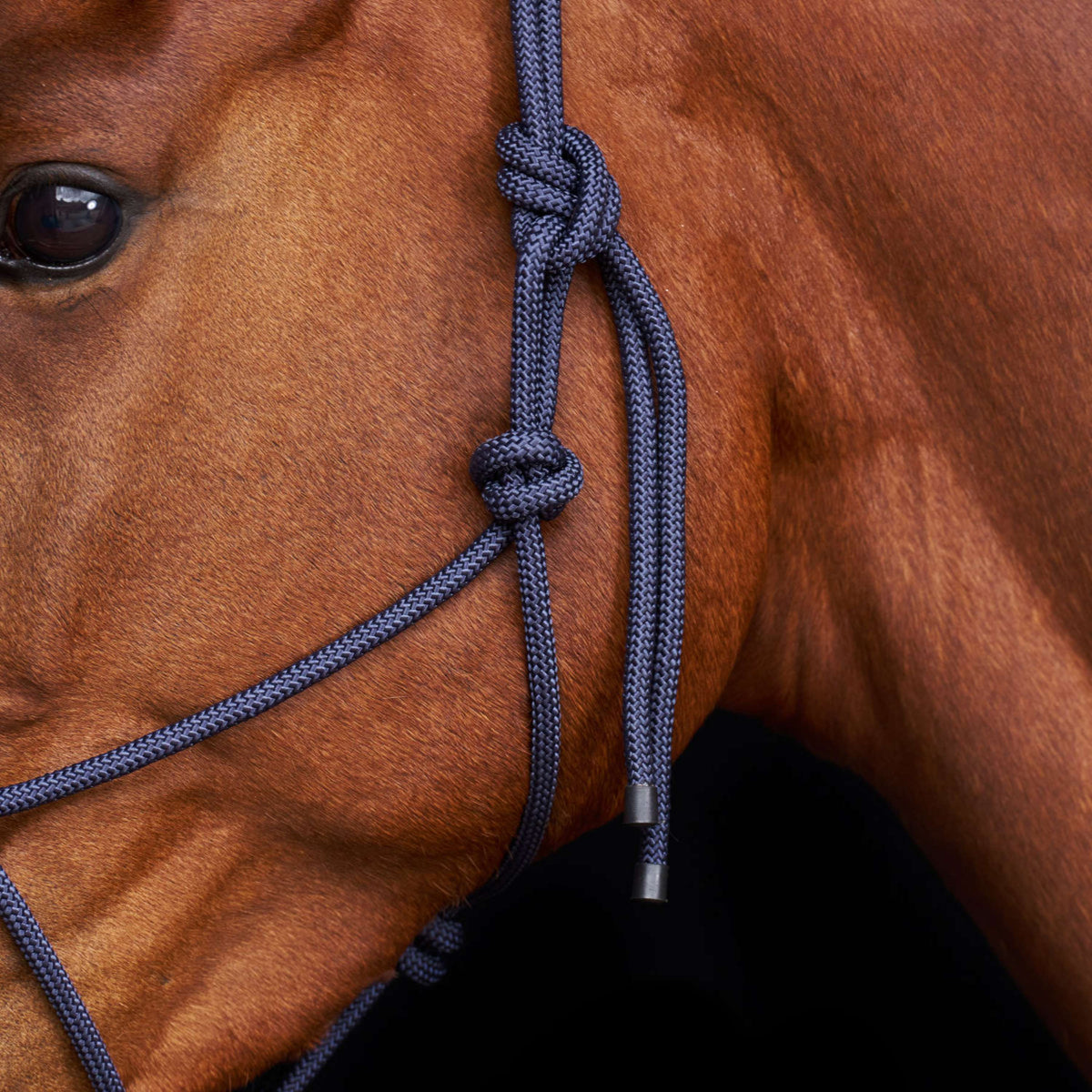 HV Polo Knotenhalfter HVPLamu Navy