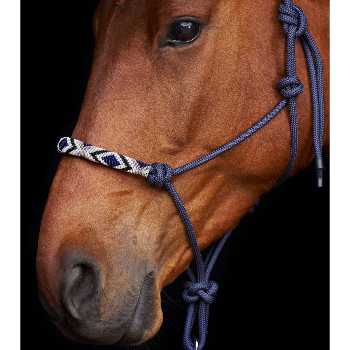 HV Polo Knotenhalfter HVPLamu Navy