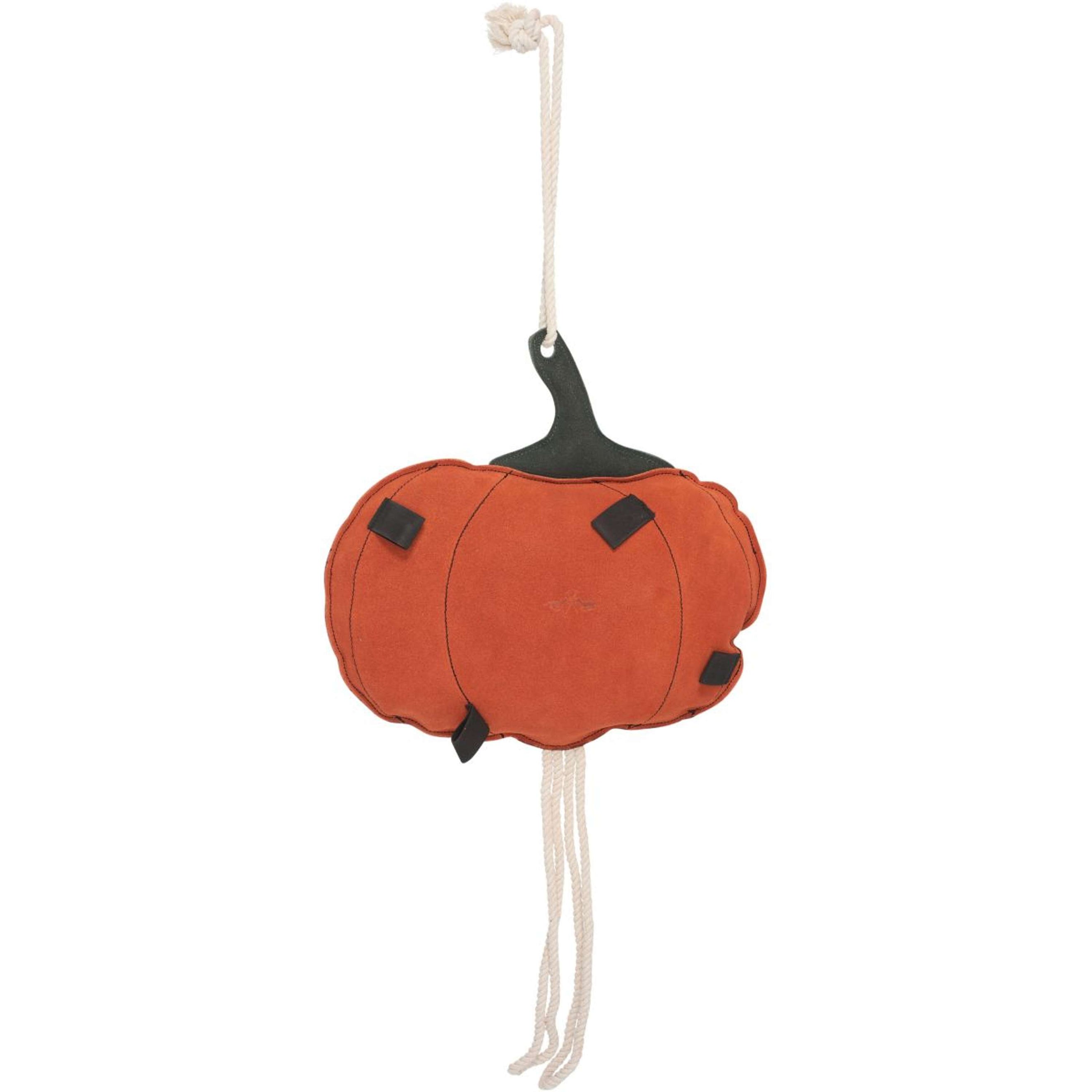 HV Polo Stable Buddy HVPPumpkin Kürbis HV Polo Stable Buddy HVPPumpkin Kürbis