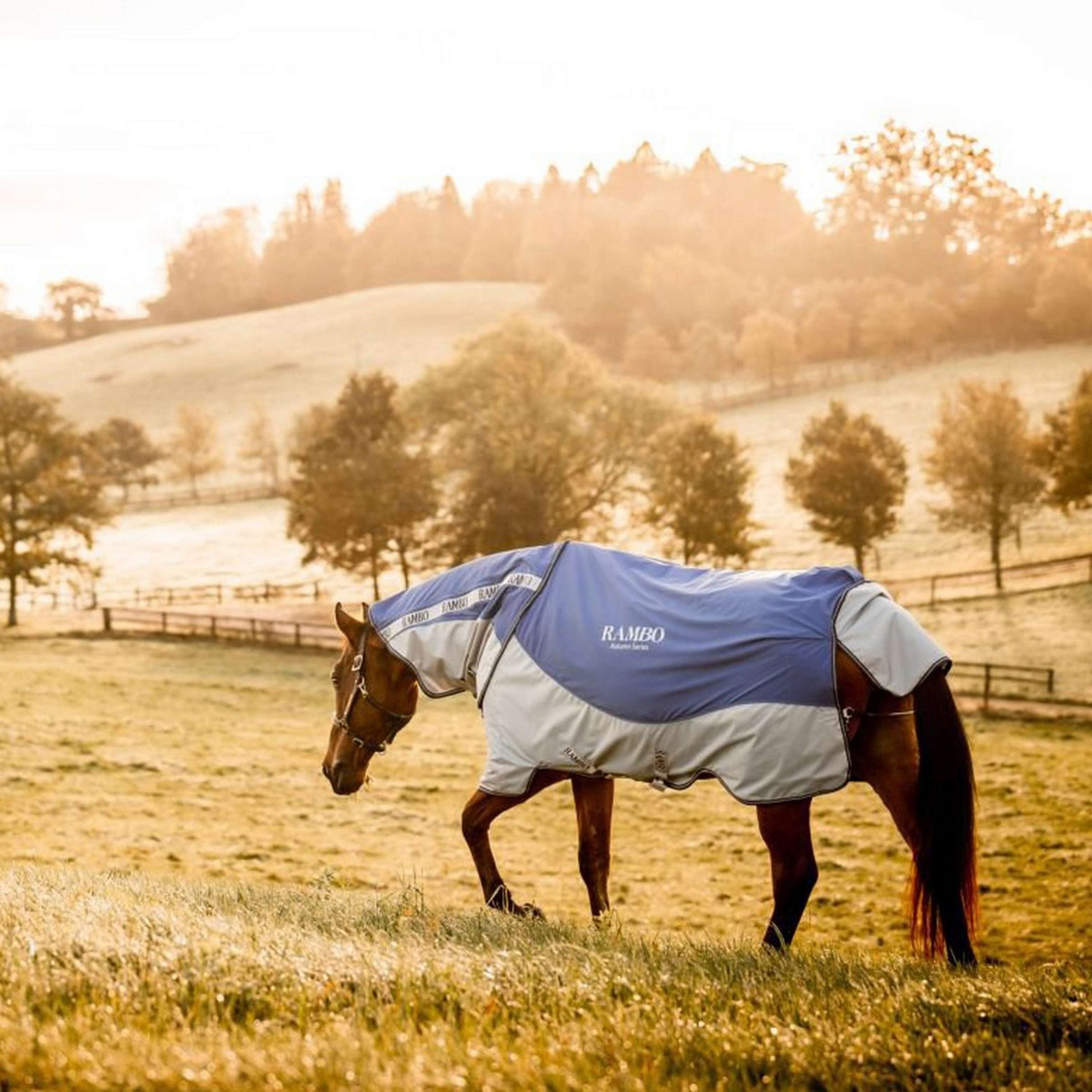 Rambo Autumn Series Turnout Navy/Grau Dots Rambo Autumn Series Turnout Navy/Grau Dots