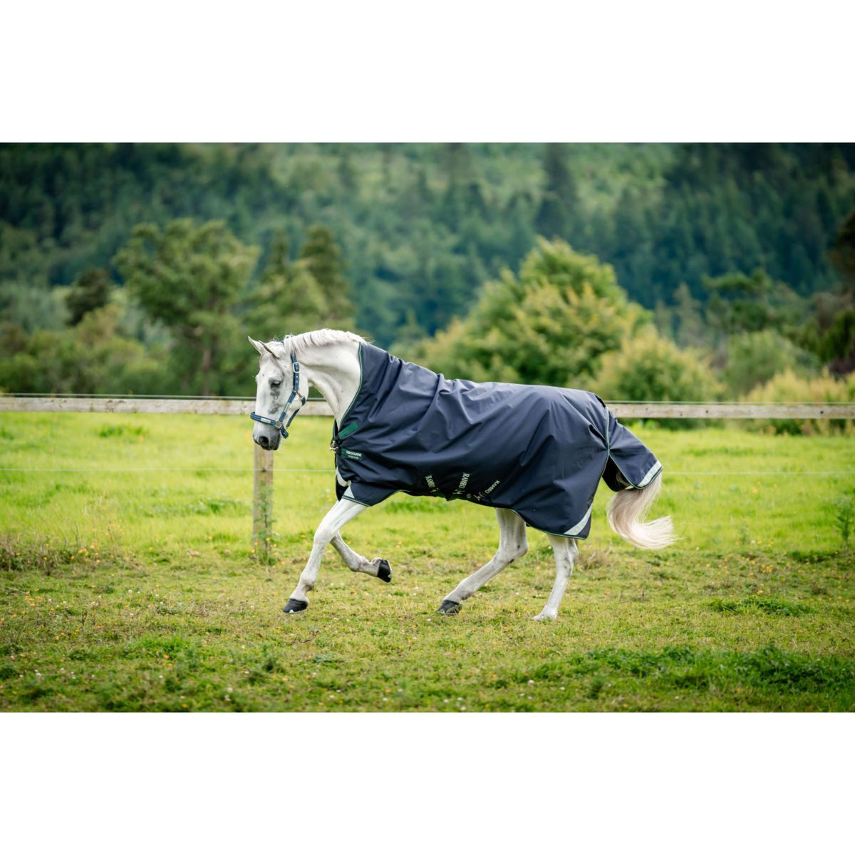 Rambo Wug Turnout Lite 0g Navy/Hunter Green