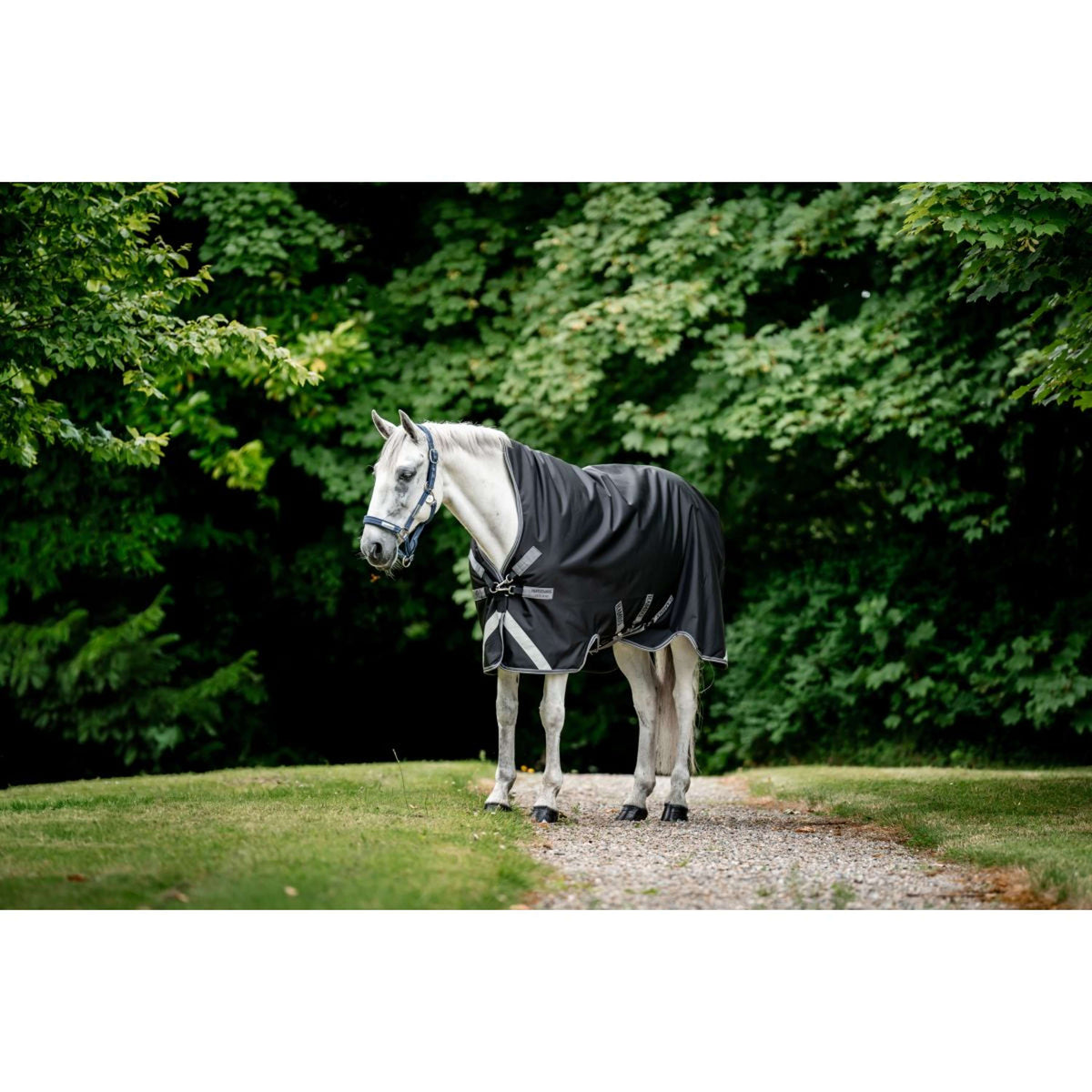 Rambo Wug Turnout Lite 0g Black/Thunderstorm Grey