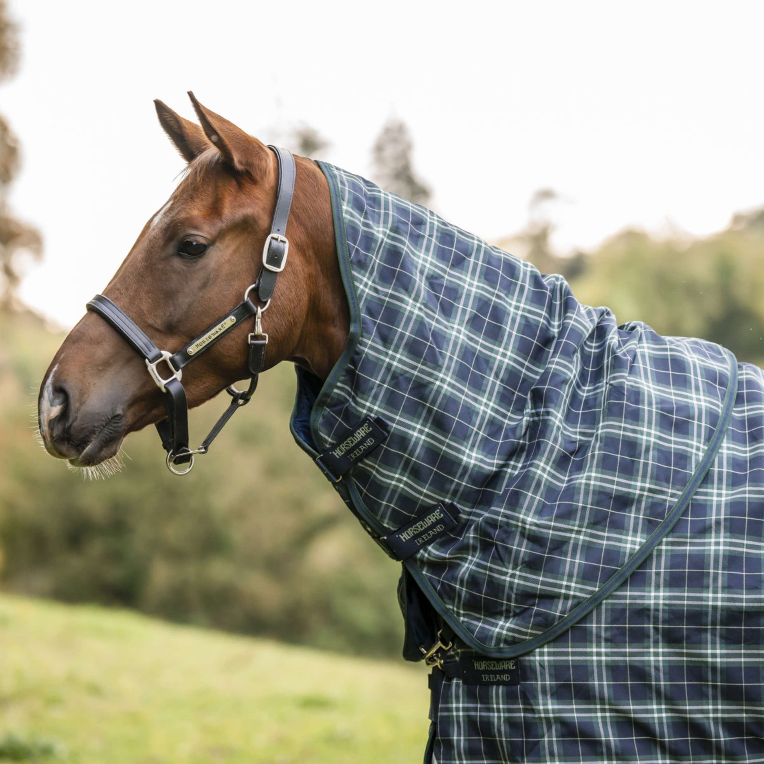 Rhino Halsstück Turnout 150g Hunter Check/Green/Navy