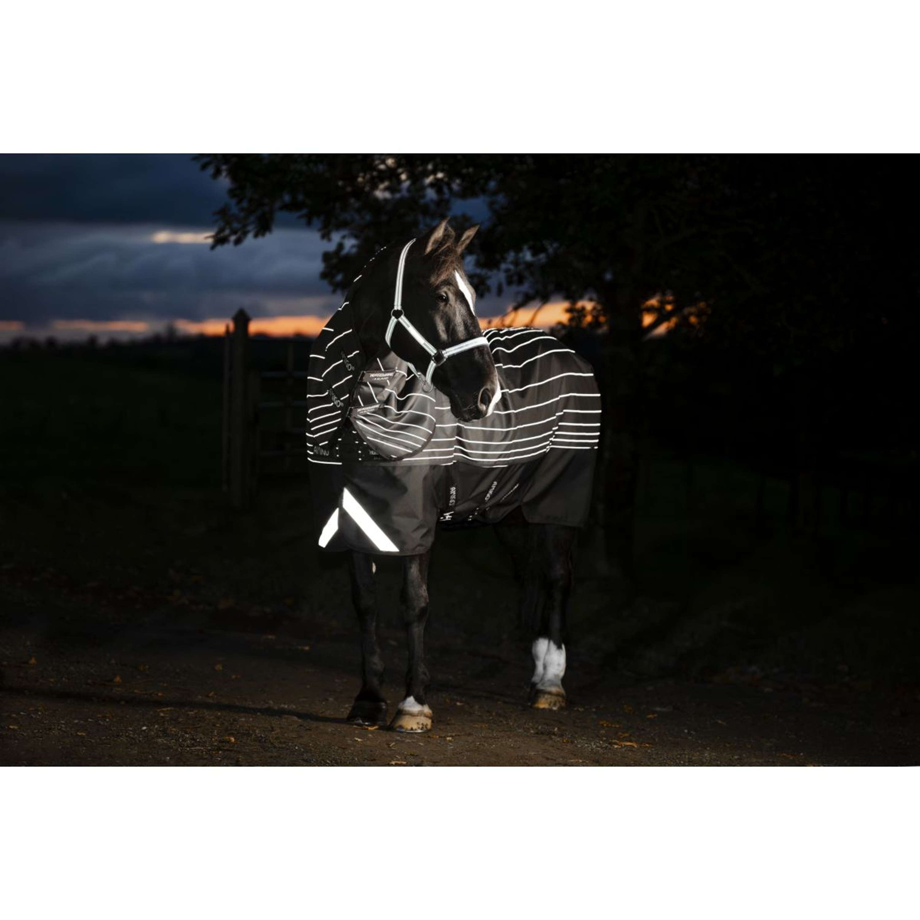 Museau De Pâturage Fieldsafe S/H Pour Poney - Taille Petit Poney, Rembourré, Occasion