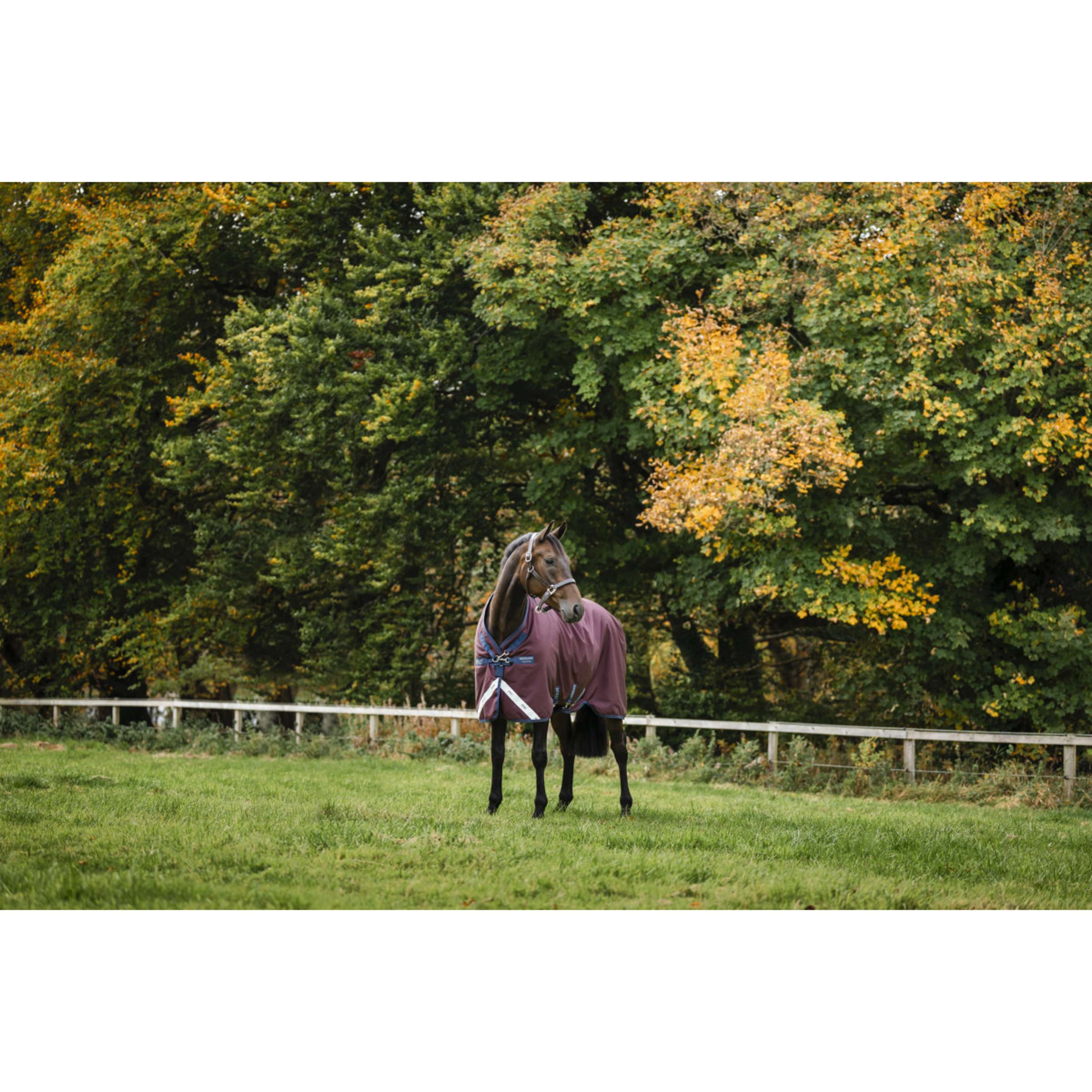 Amigo Turnout 1200D 100g Burgundy/Navy/Titanium Grey