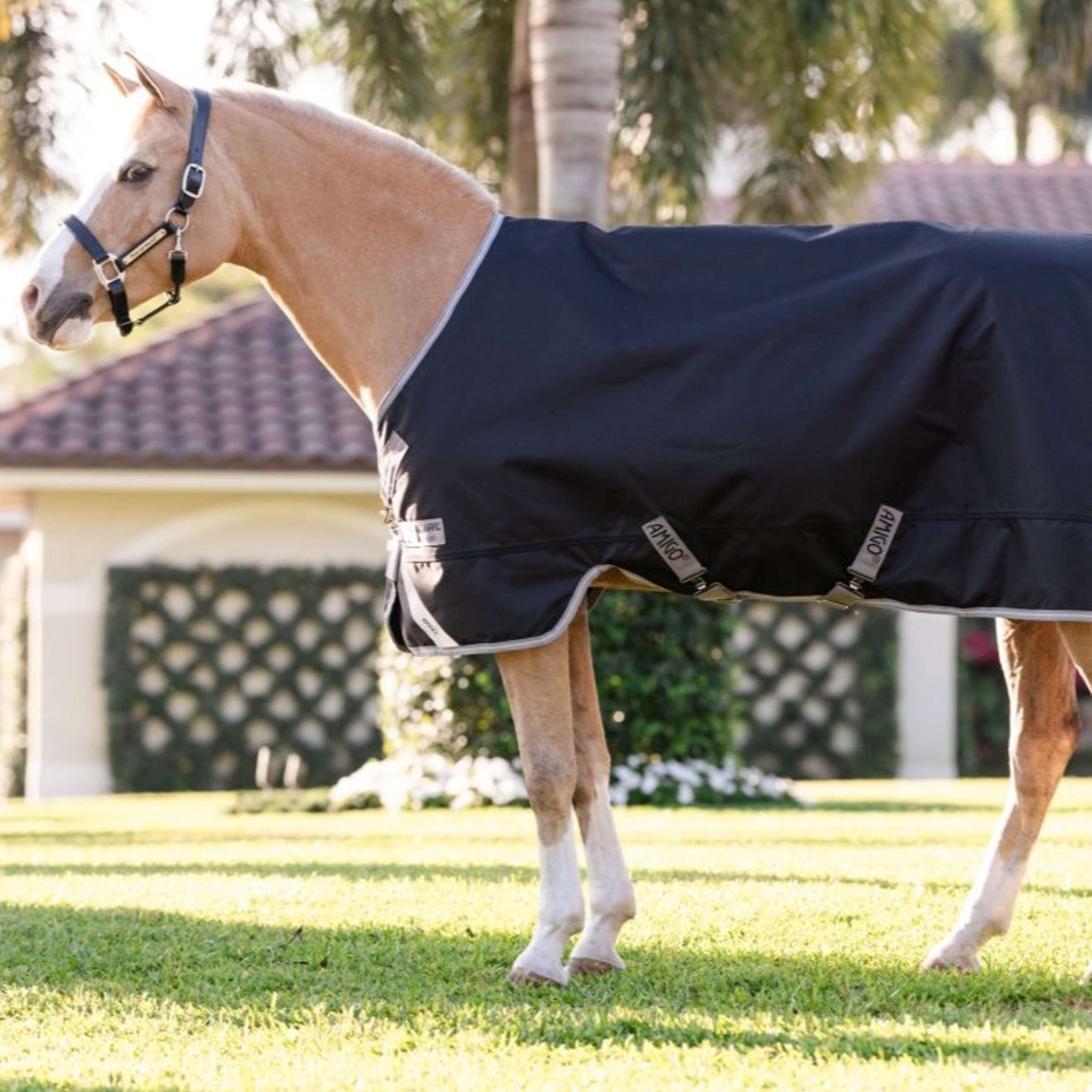 Amigo Turnout 1200D Pony 50g Schwarz/Titangrau/Silber