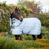 Amigo Stable Plus Plant Dye Blau/Navy