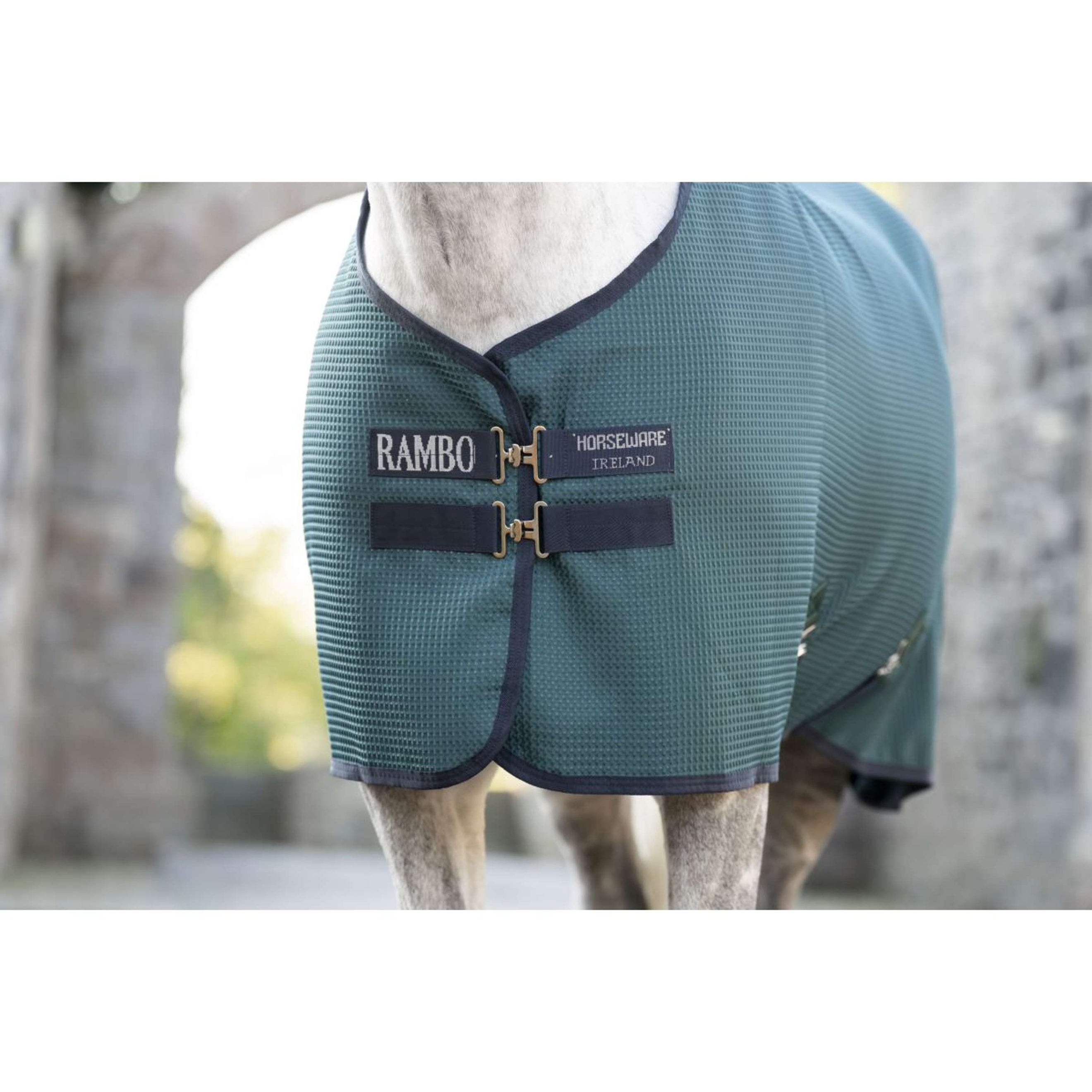 Rambo Waffle Cooler Techni Dynasty Green/Navy/Silver
