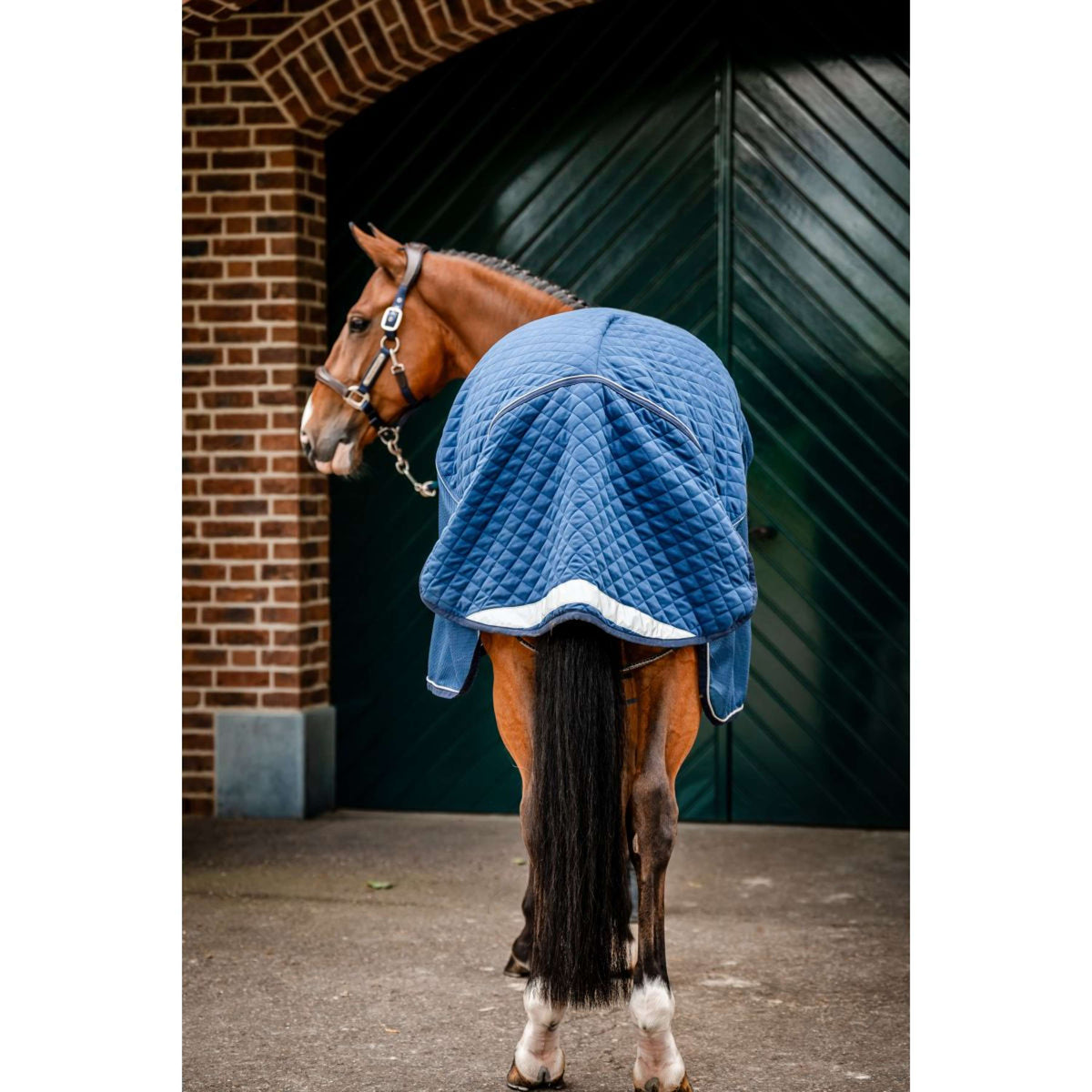 Horseware Travel Cooler Signature Navy