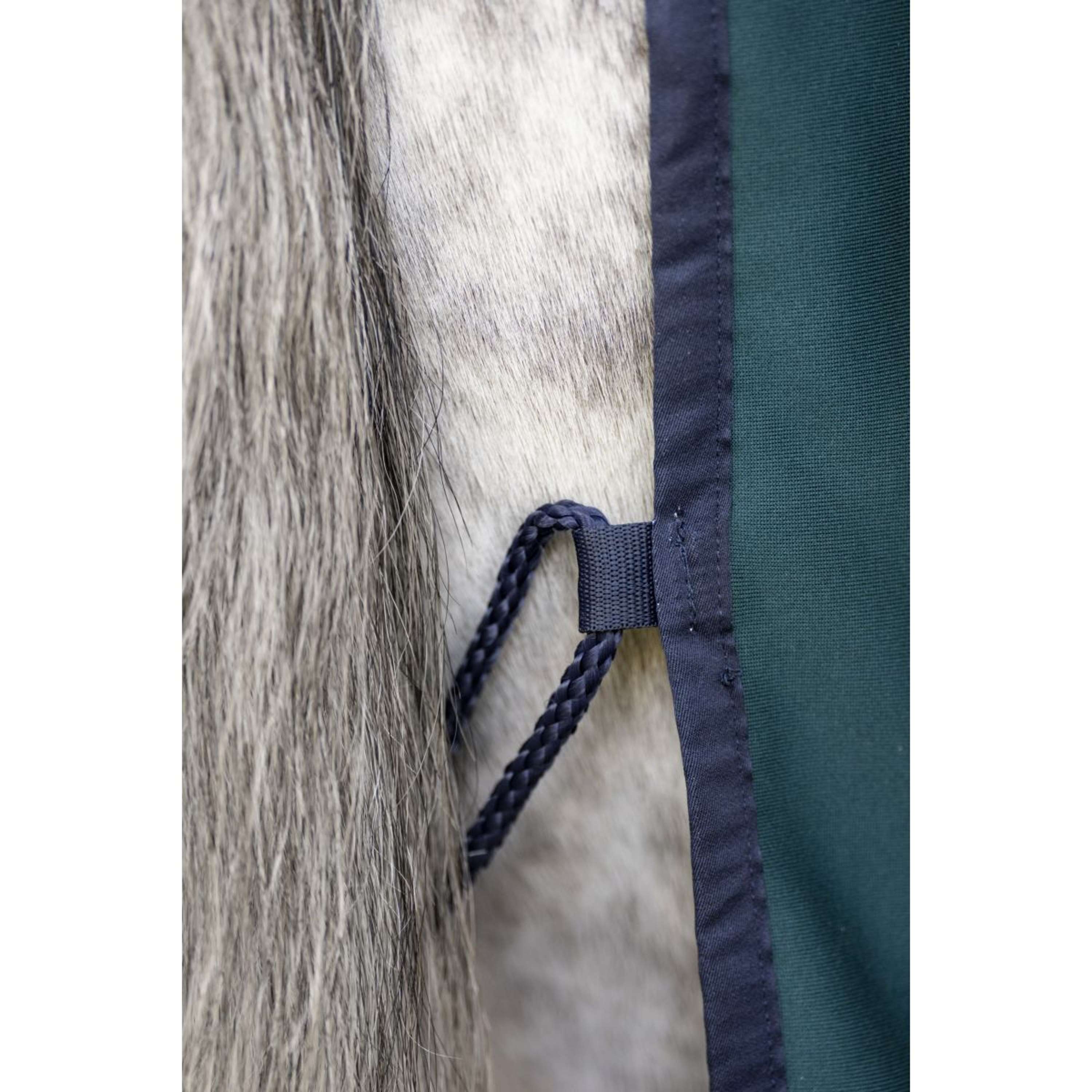 Amigo Jersey Cooler Pony Dynasty Green/Navy/Silver