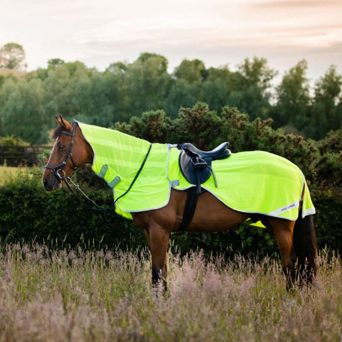 Amigo Flyrider gelb fluoreszierend