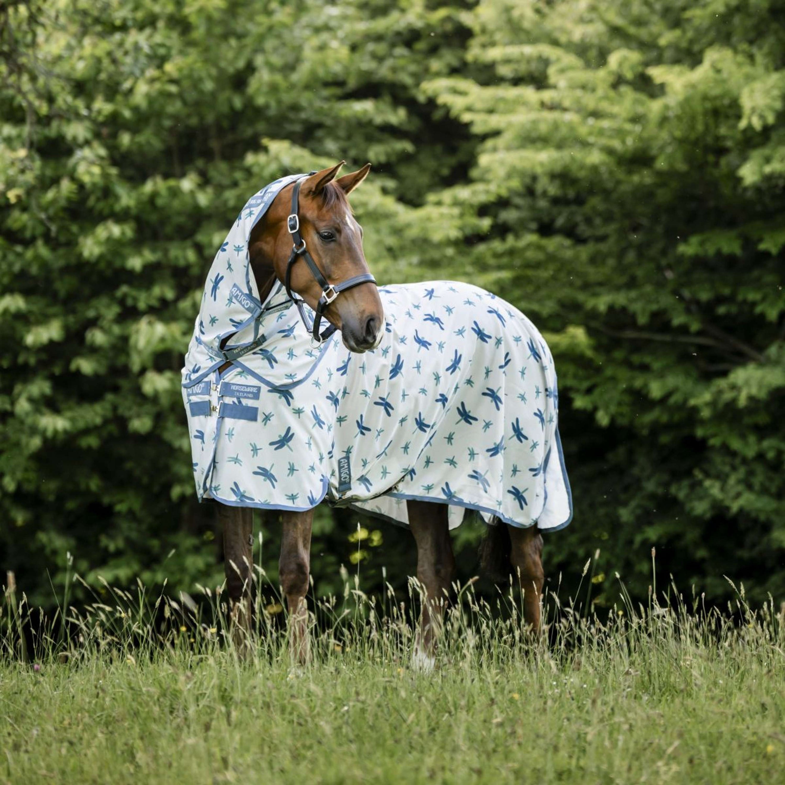 Amigo Halsstück Bug Rug Dragonfly Print/Silver/Blue/Sage Amigo Halsstück Bug Rug Dragonfly Print/Silver/Blue/Sage