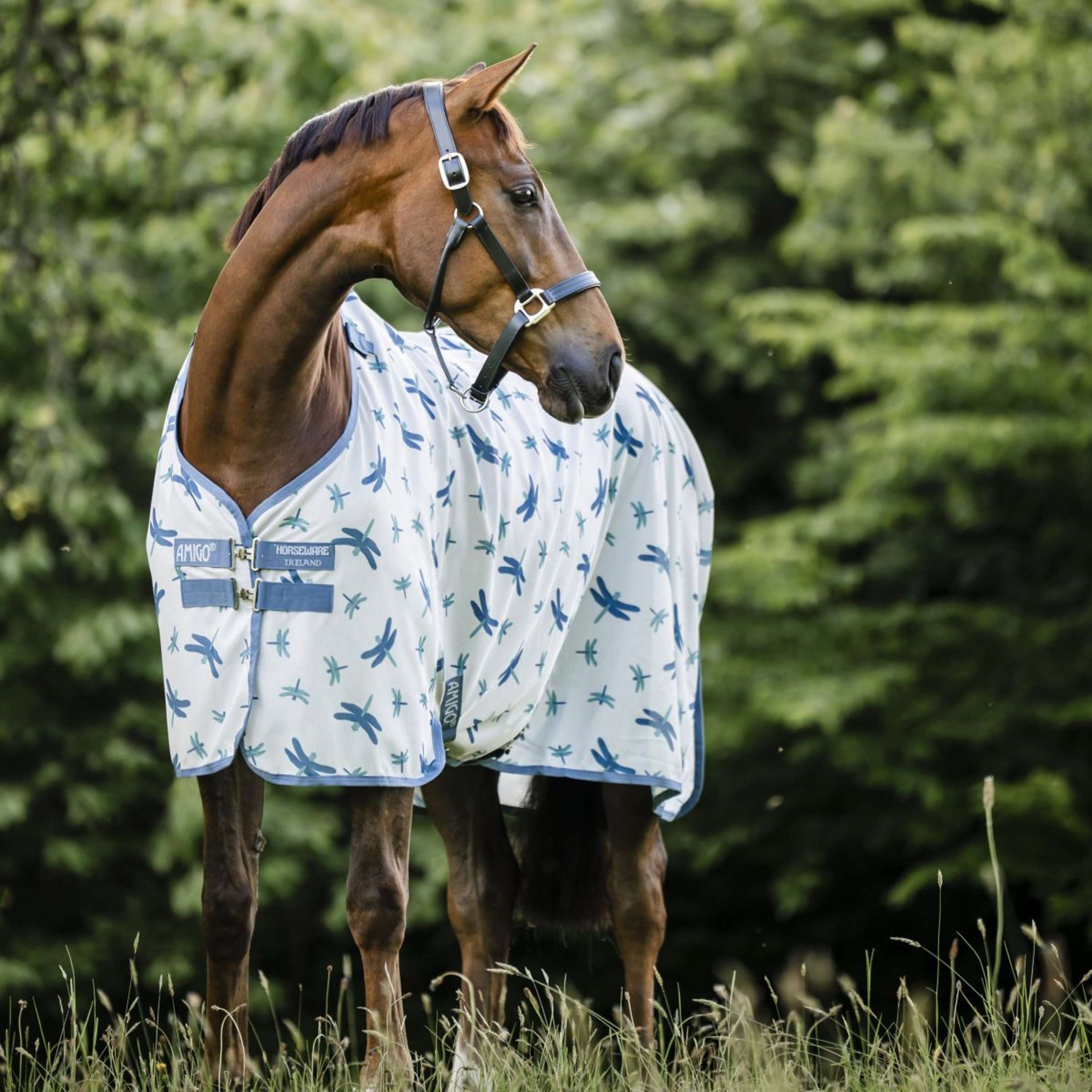 Amigo Bug Rug Dragonfly Print/Silver/Blue/Sage Amigo Bug Rug Dragonfly Print/Silver/Blue/Sage