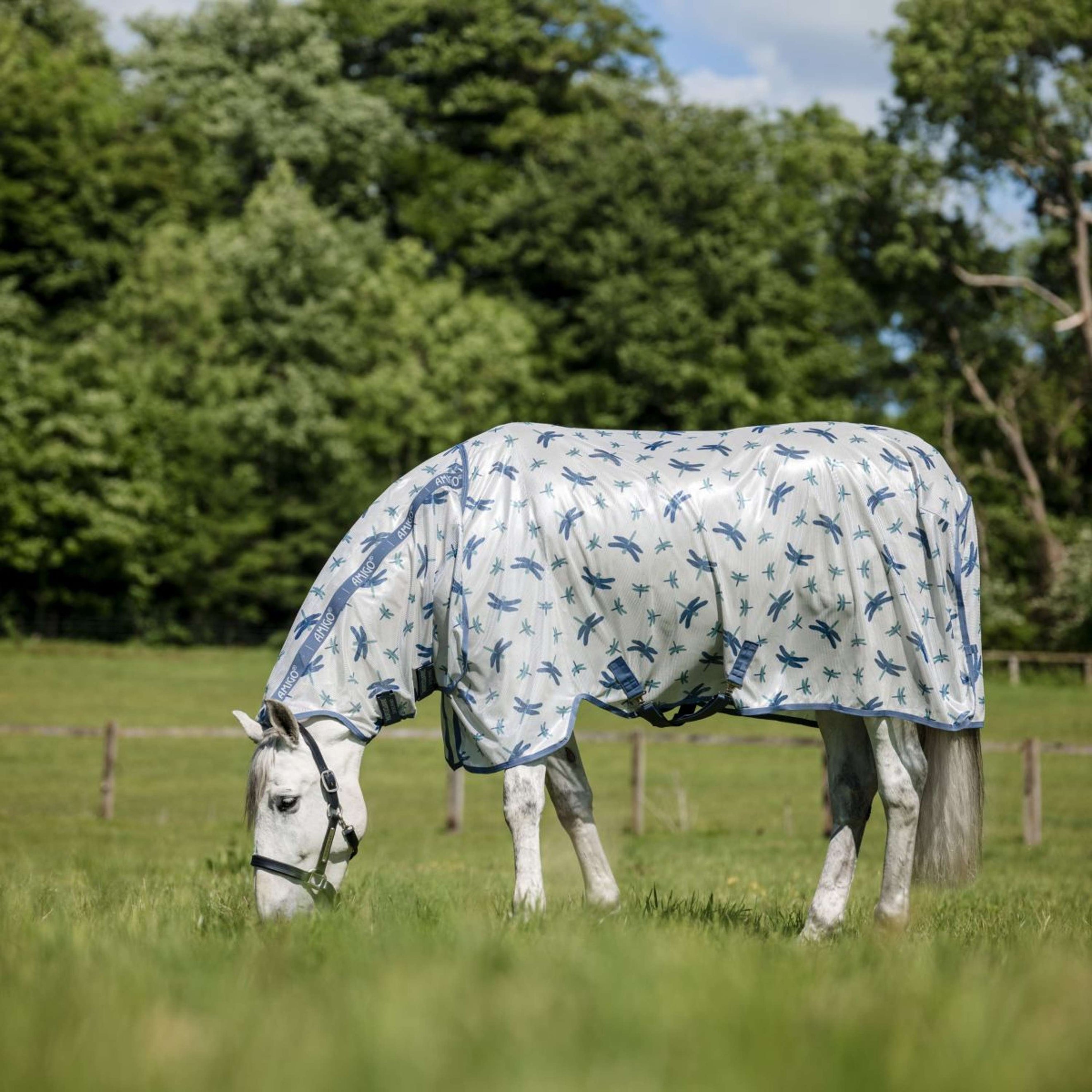 Amigo Fliegendecke Integrated Dragonfly Print/Silver/Blue/Sage Amigo Fliegendecke Integrated Dragonfly Print/Silver/Blue/Sage