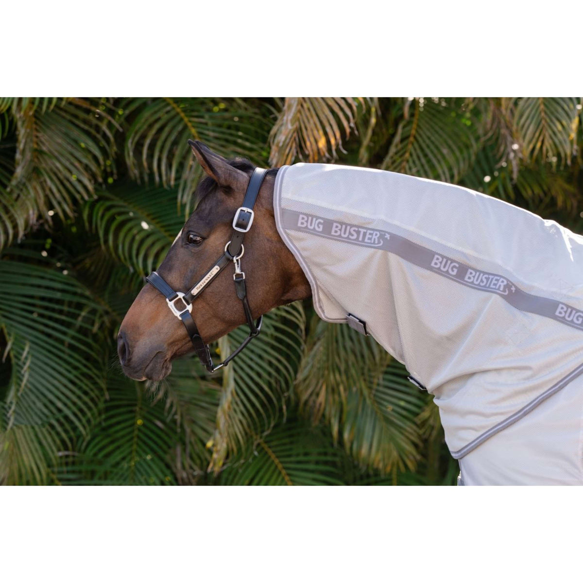 Amigo Halsstück Bug Buster Silber/Titangrau/Silber