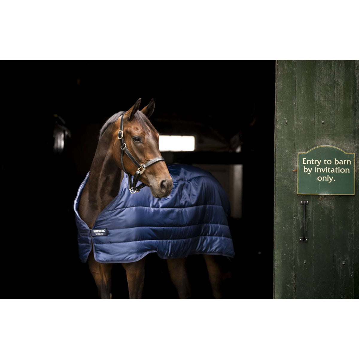 Horseware Liner 50g Navy