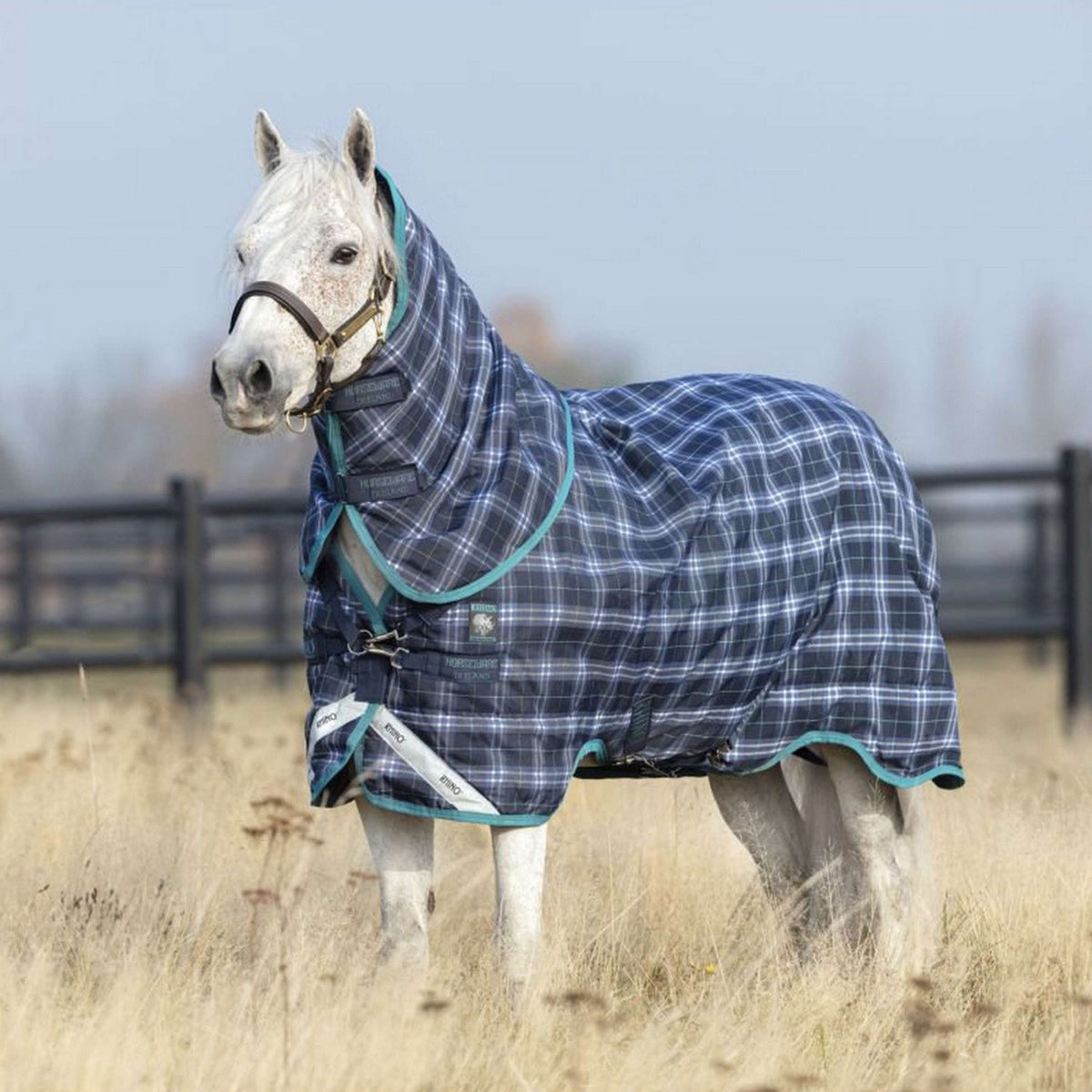 Rhino Pony Plus Medium Navy Check