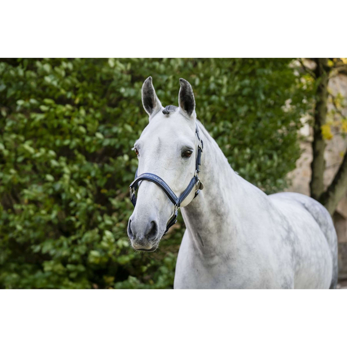 Horseware Halfter Grooming Navy