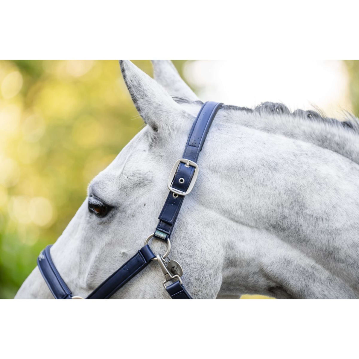 Horseware Halfter Grooming Navy