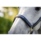 Horseware Halfter Grooming Navy