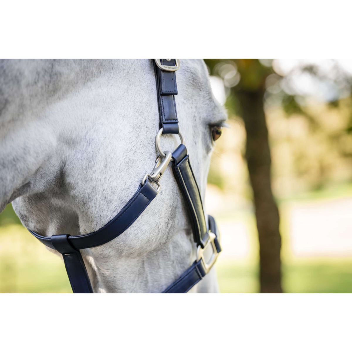 Horseware Halfter Grooming Navy
