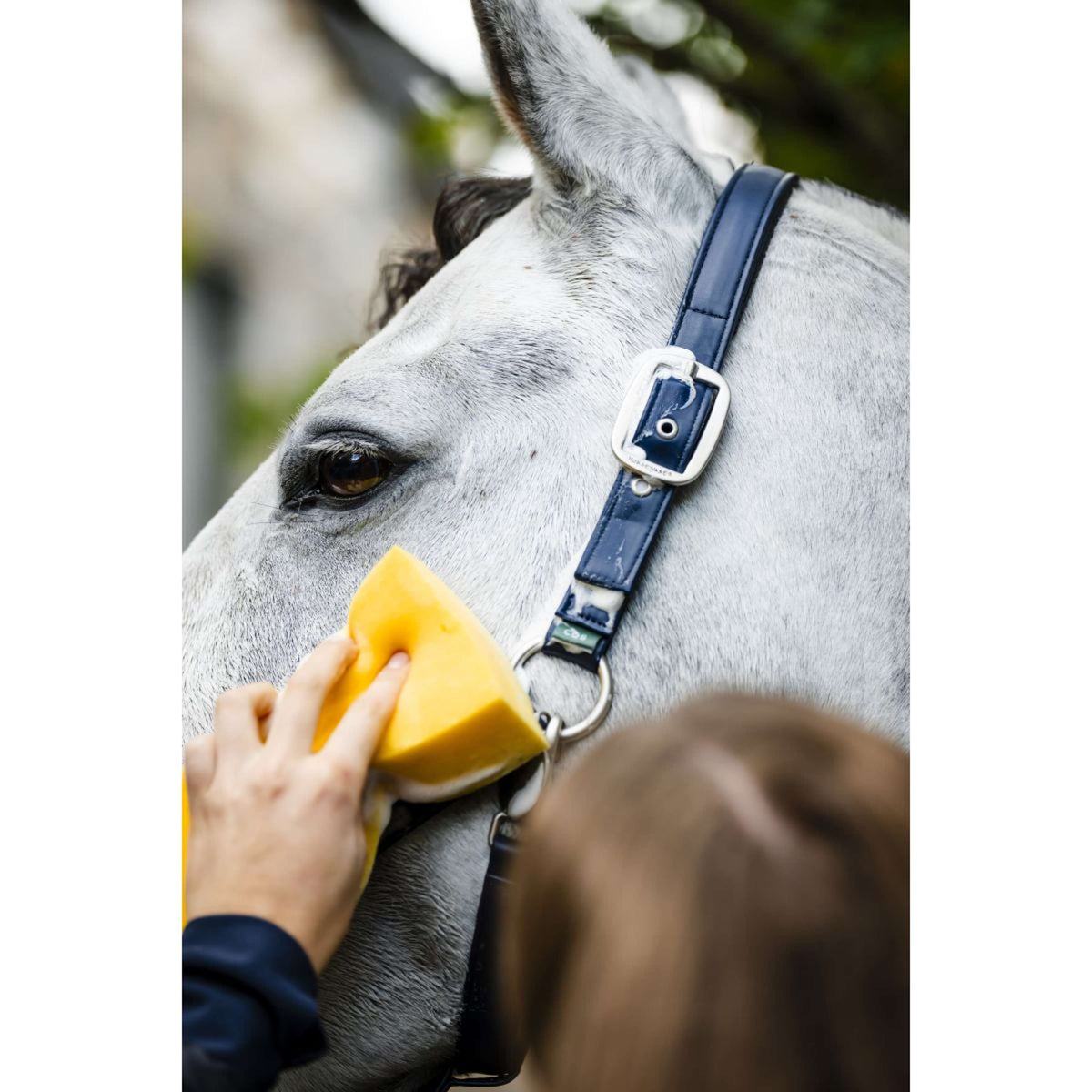 Horseware Halfter Grooming Navy