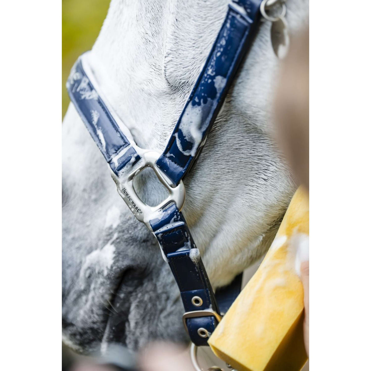 Horseware Halfter Grooming Navy