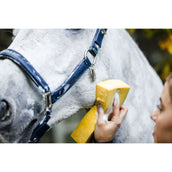 Horseware Halfter Grooming Navy