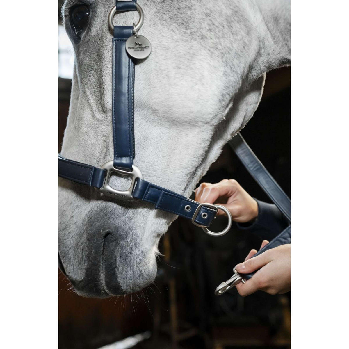 Horseware Halfter Grooming Navy