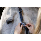 Horseware Halfter Grooming Navy