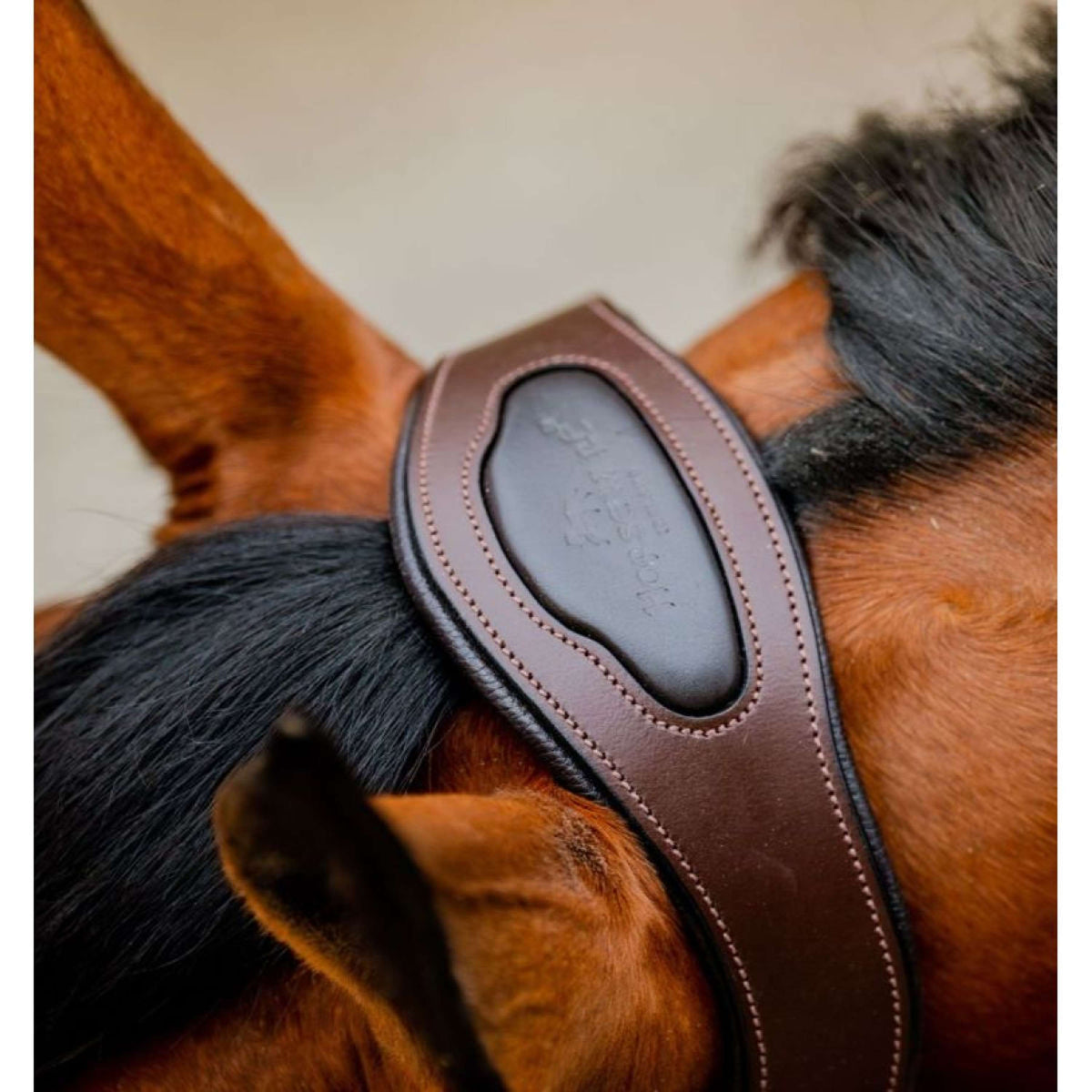 Horseware Halfter Signature Brown/Navy/Blue Haze