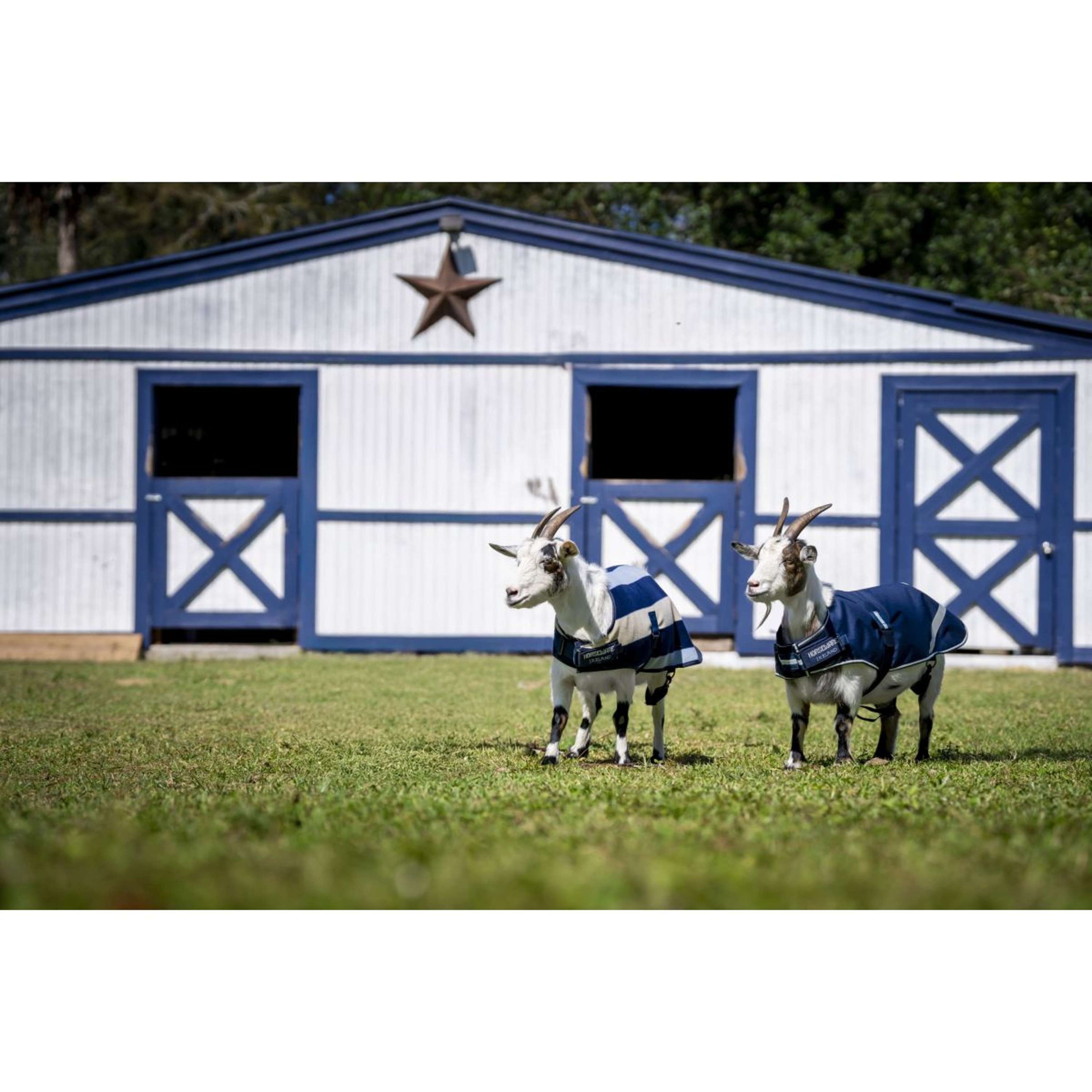 Horseware Goat Coat 100g Witney Navy Horseware Goat Coat 100g Witney Navy