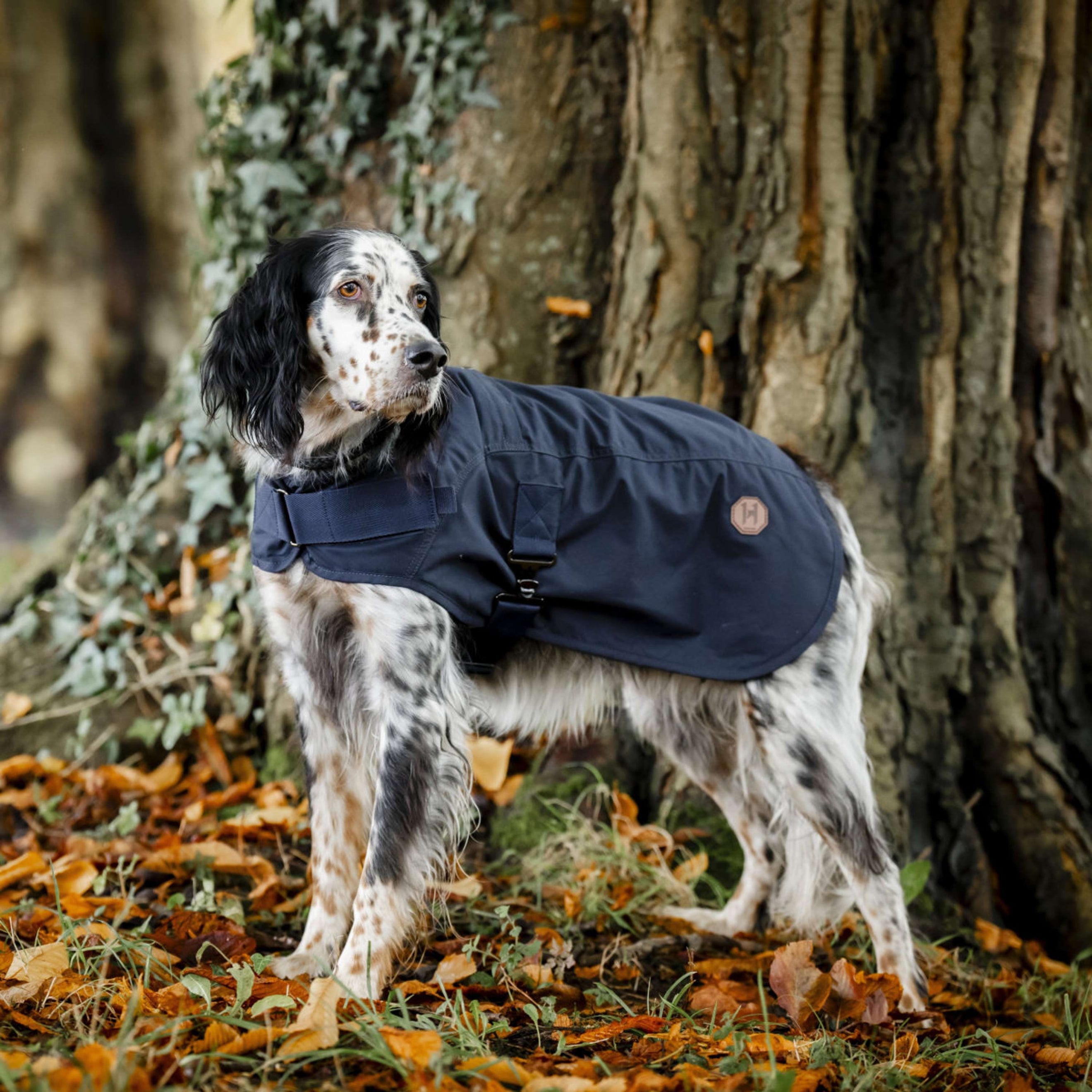 Horseware Dog Coat Newmarket Hertitage Navy/Witney Navy Horseware Dog Coat Newmarket Hertitage Navy/Witney Navy
