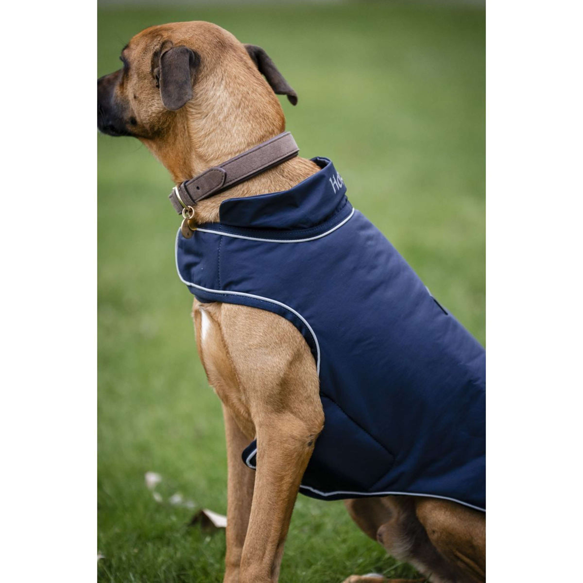 Horseware Hunderegendecke Signature 100g Navy