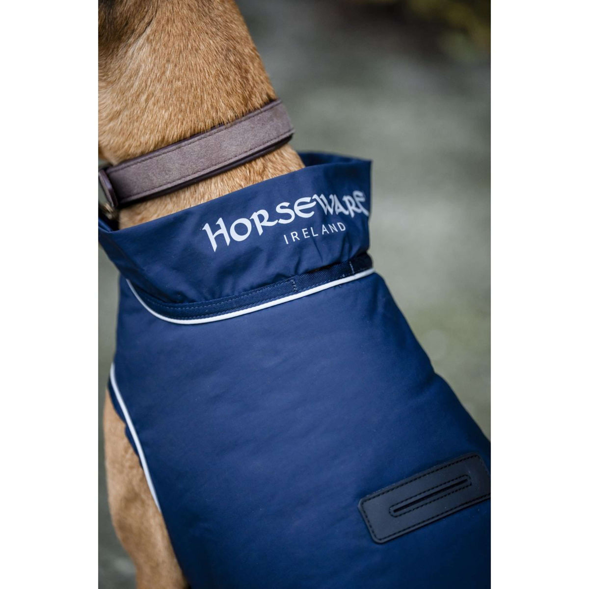 Horseware Hunderegendecke Signature 100g Navy