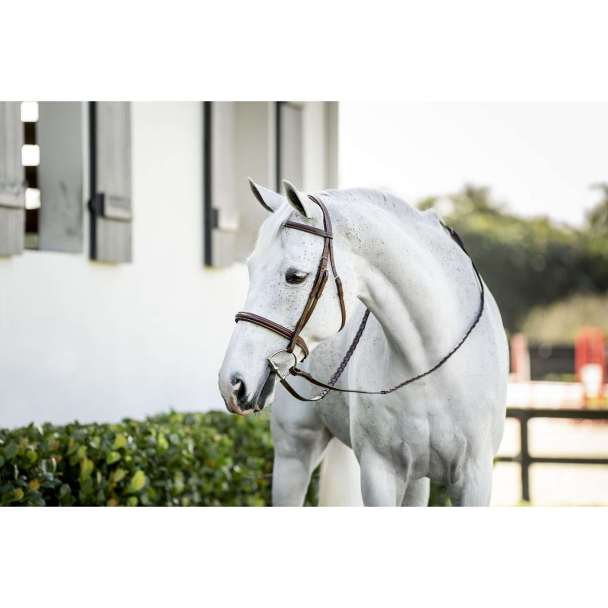 Horseware Zaum Pony Hunter Cavesson mit Zügeln Dark Tan