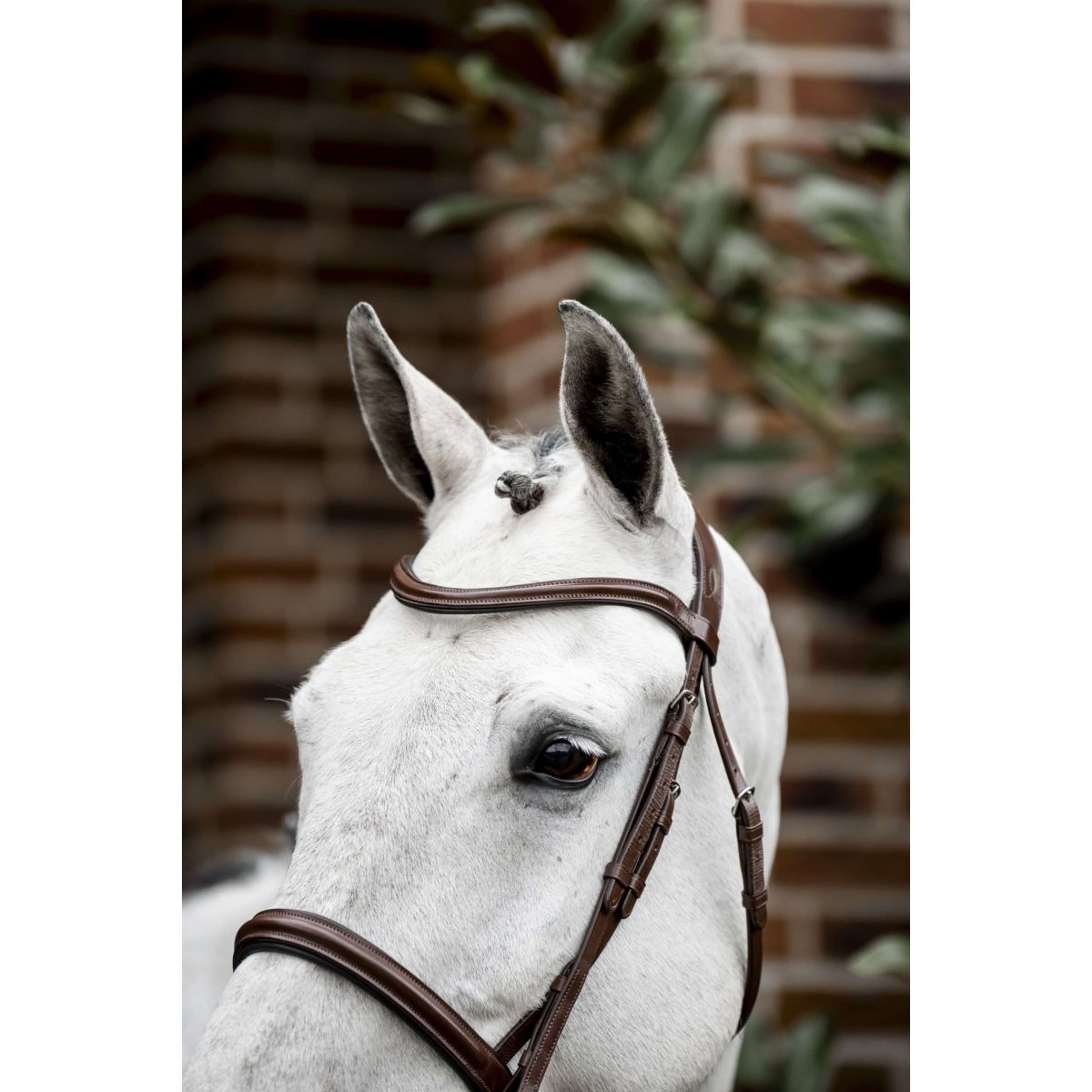 Horseware Zaum Cavesson Braun Horseware Zaum Cavesson Braun